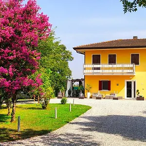 https://yard-151.hotelinveneto.com